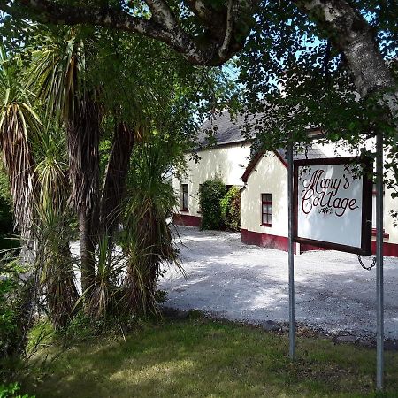 Mary'S Cottage Sneem Zewnętrze zdjęcie